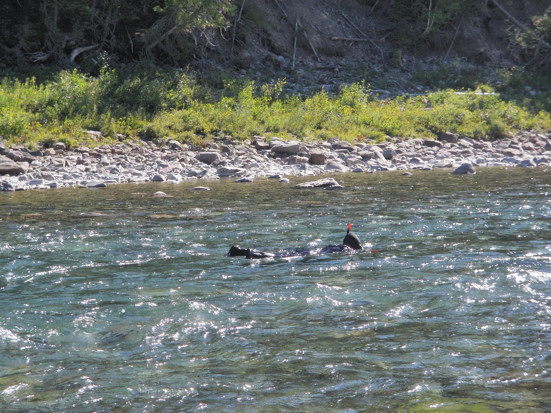 Procès de Cime Aventures : la gestion des rivières à saumon mise